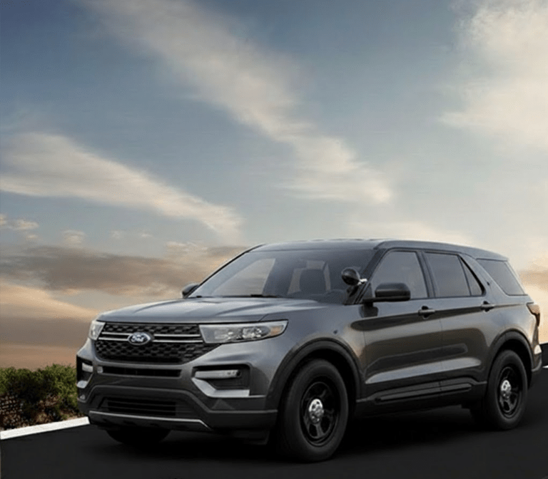 Car Rental Services We Provide